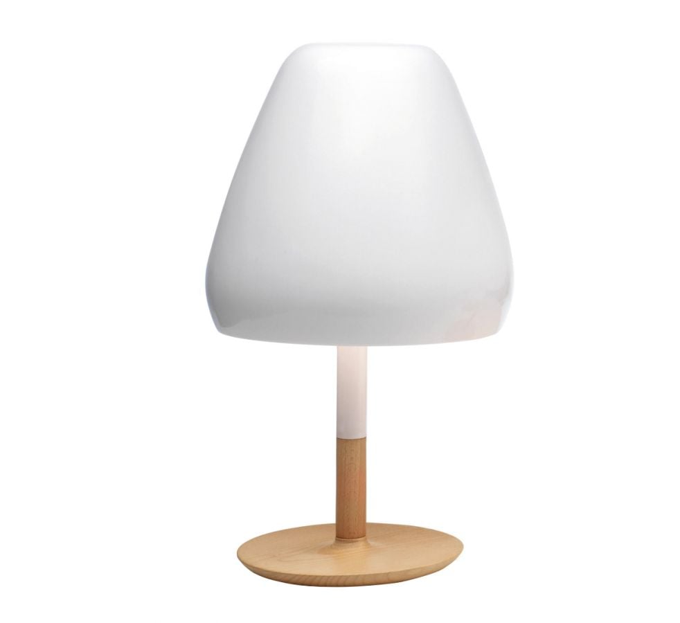Elegant Shade Lamp