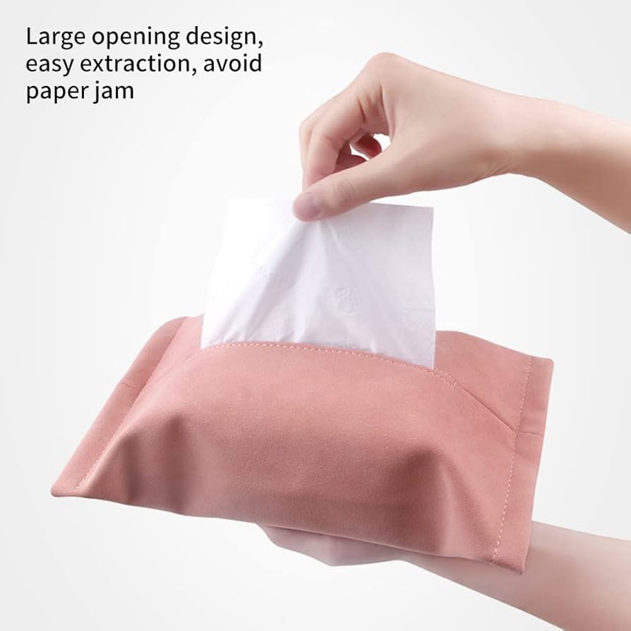 Car tissue holder